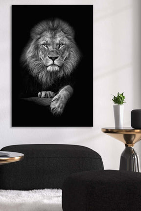 Leone in Bianco & Nero | Tela